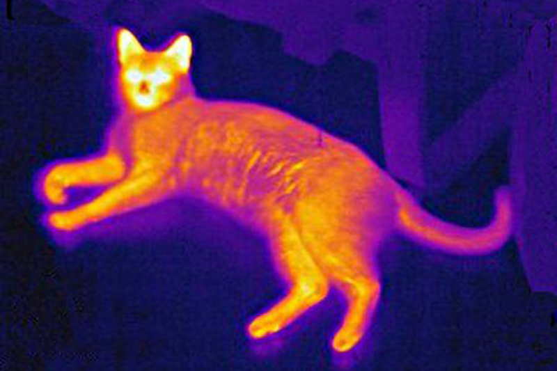 [RYAN OPTICS] Key Insights into Medium-Wave Infrared (MWIR) and Long-Wave Infrared (LWIR): Choosing the Right Technology for Your Application
